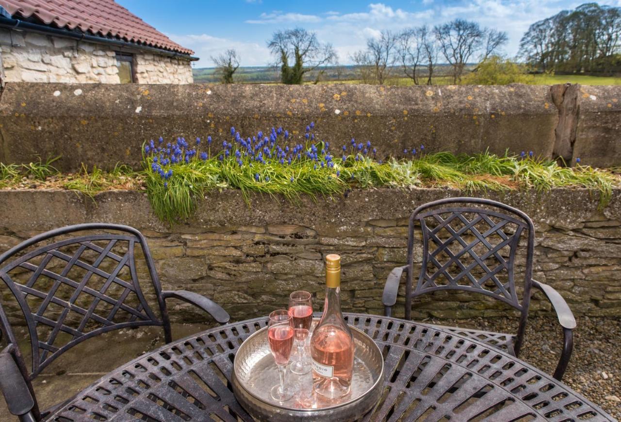 Valley View Farm Holiday Cottages 헴슬리 외부 사진