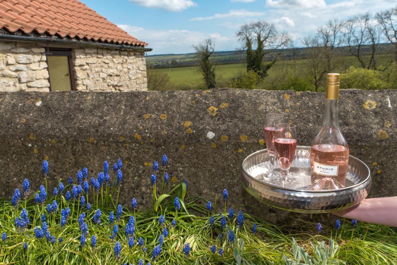 Valley View Farm Holiday Cottages 헴슬리 외부 사진
