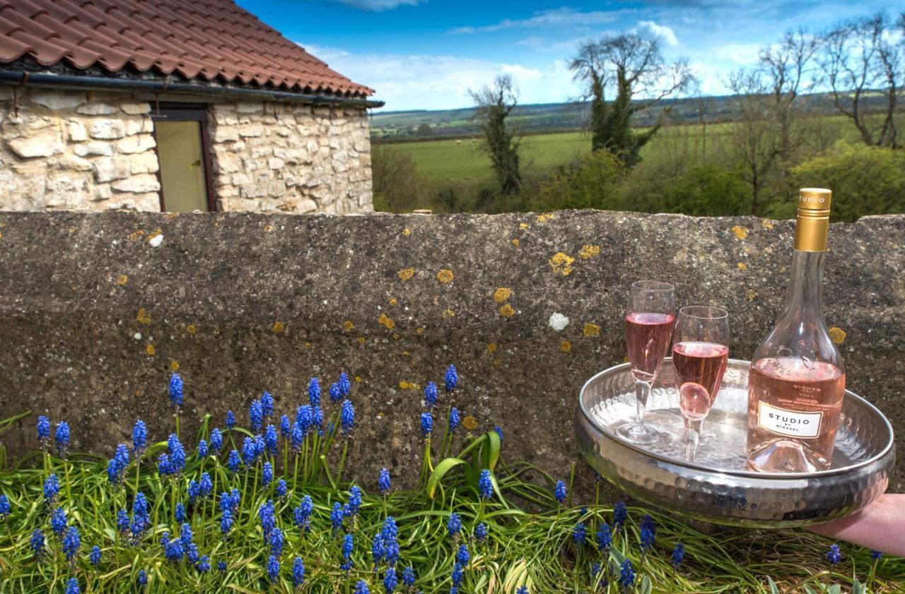 Valley View Farm Holiday Cottages 헴슬리 외부 사진