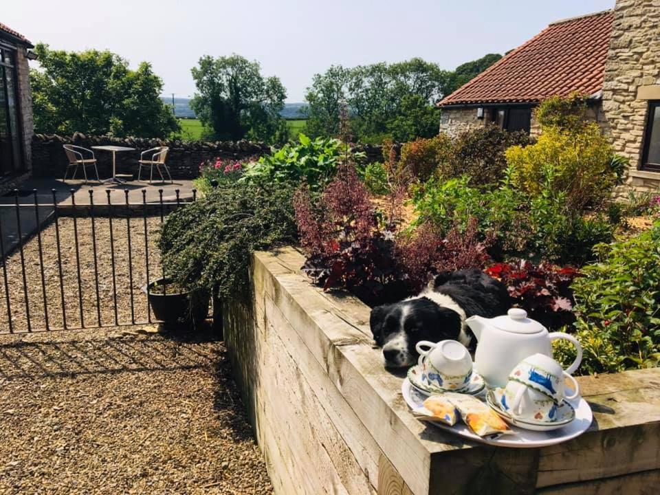 Valley View Farm Holiday Cottages 헴슬리 외부 사진