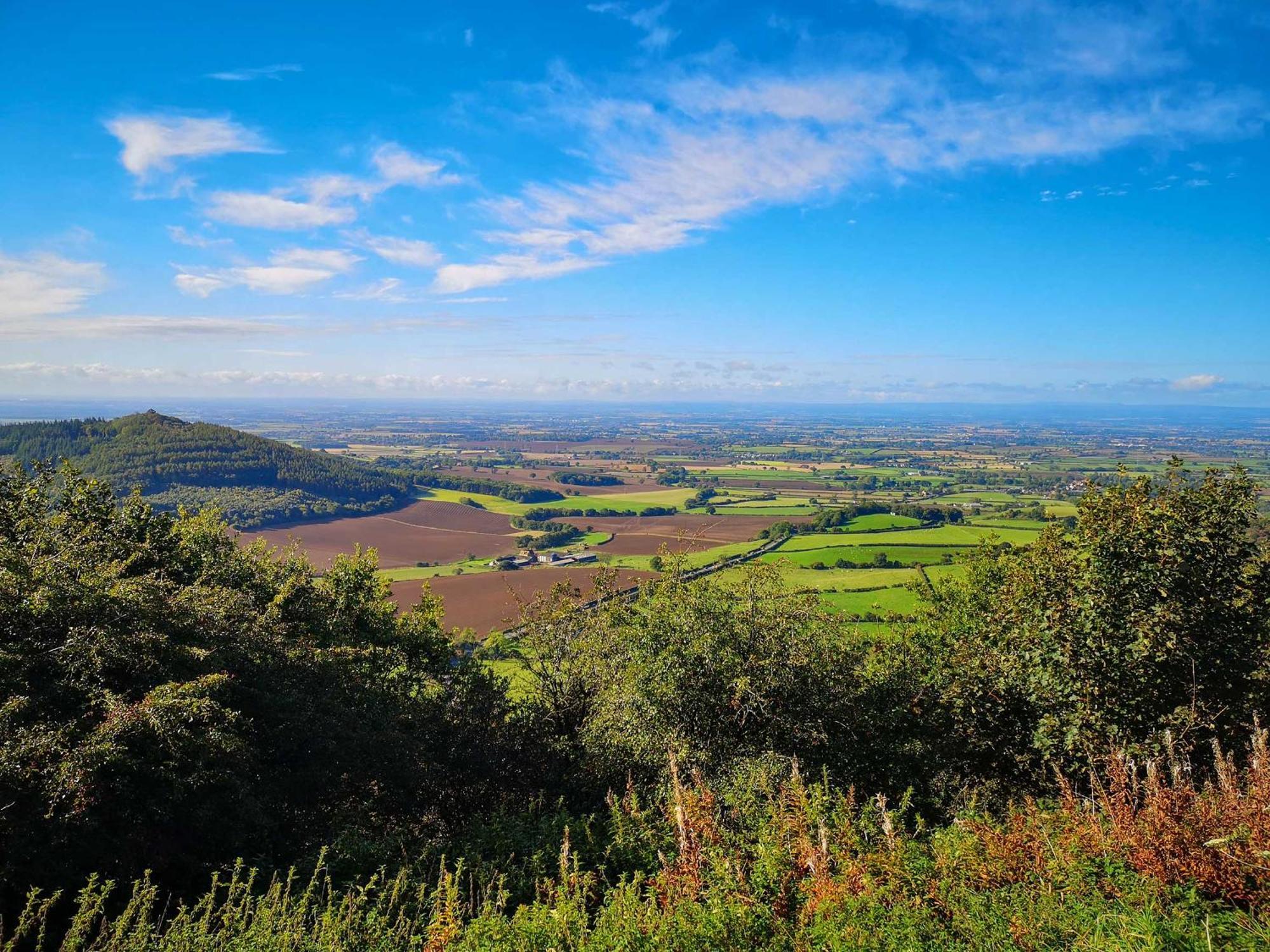 Valley View Farm Holiday Cottages 헴슬리 외부 사진